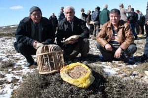 Yaban hayvanlarını unutmadılar