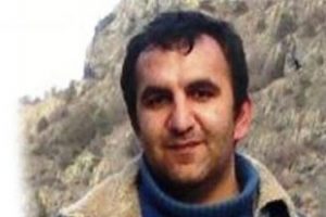 Artvin'de domuz gribi paniği!