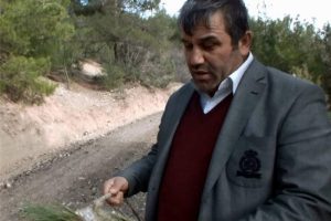 &Ccedil;am ağa&ccedil;larına b&ouml;ceklerin istilası
