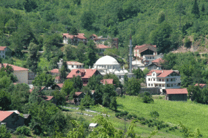 B&uuml;t&uuml;n k&ouml;y karantinaya alındı