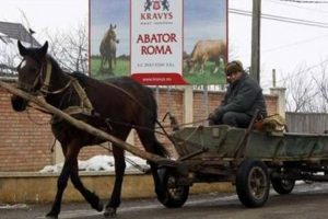 Skandalın sebebi 'işsiz' atlar mı?