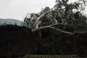 &Uuml;nl&uuml; aşıklar yolu bu hale geldi