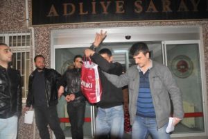 "Yaşasın Bonzai"