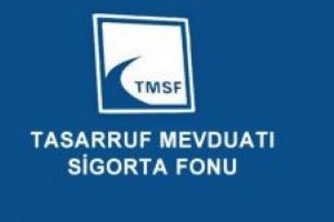 TMSF, Akmaya'yı satışa &ccedil;ıkardı