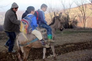 Eşek sırtında okul yolu