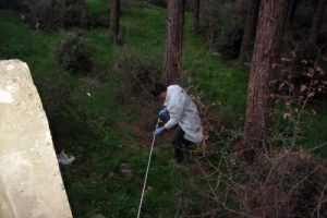Boş arazide 4 el bombası bulundu