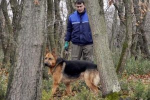 Dedekt&ouml;rler ve k&ouml;pek ile bebek cesedi aradılar