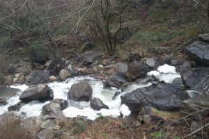 Uludağ derelerindeki k&ouml;p&uuml;k birikintileri korkuttu