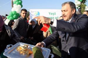 Bakan Eroğlu ve &Ccedil;elik, kestane fidanı dikip, kestane şekeri dağıttı