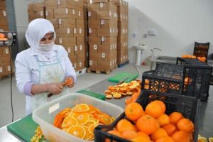 T&uuml;rkiye'den Amerika'ya ticaret k&ouml;pr&uuml;s&uuml;