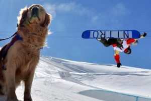 'Gurbet'in snowboard merakı
