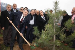 AK Parti Yıldırım'dan hatıra ormanı