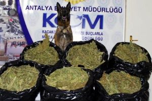 Uyuşturucu tacirlerinin korkulur r&uuml;yası