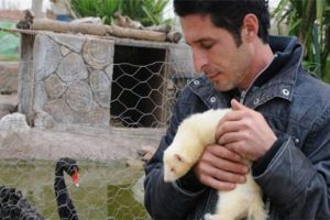 Kulu&ccedil;kadaki hayvanların haciz davası