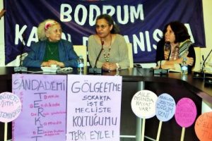 Temsili mahkemeden 'Kadın bakanlığı kurulsun' talebi