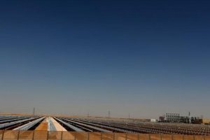 D&uuml;nyanın en b&uuml;y&uuml;ğ&uuml; Abu Dabi'de