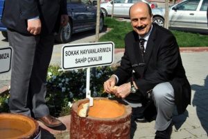 İneg&ouml;l Belediyesi'nden hayvanlara suluk ve beslenme odağı