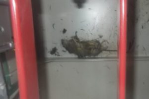 Kıl payı atlatılan facianın sorumlusu