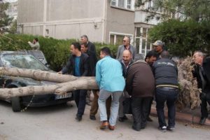 Fırtına &ccedil;atıları u&ccedil;urdu, bir &ouml;ğrenci yaralandı