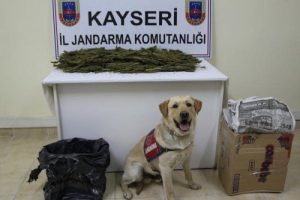 Yolcu otob&uuml;s&uuml;nde esrar ele ge&ccedil;irildi