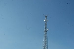 27 saattir 90 metrelik direğin tepesinden inmiyor