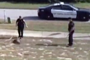 Amerika'nın konuştuğu kadın polis