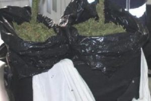 Uyuşturucu tacirlerine ge&ccedil;it yok