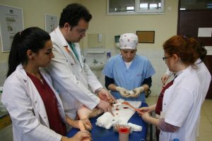 Yaralı flamingoya ortopedik ameliyat