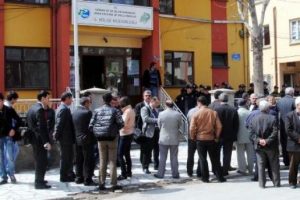 &Ccedil;am fidanı i&ccedil;in ayaklandılar