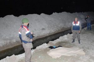 Koyun otlatırken sulama kanalında boğuldu