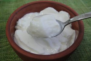 Yoğurt yemenin faydaları