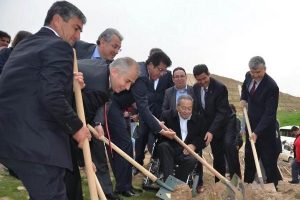 Tekerlekli sandalyeyle fidan dikti