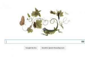 Google'dan Maria Sibylla Merian'a &ouml;zel Doodle