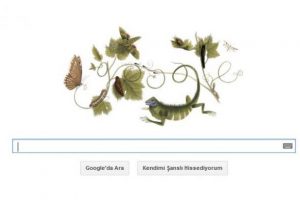 Maria Sibylla Merian'ın m&uuml;thiş grav&uuml;rleri