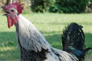 'Anne' dedi kurtuldu!
