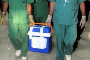 Organ naklinde enfeksiyon tehlikesi