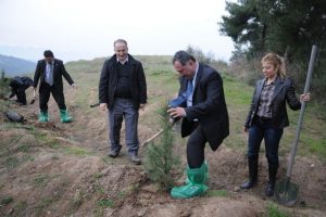 BT&Uuml; yeşil Bursa i&ccedil;in fidan dikti