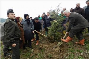 Şehitler i&ccedil;in hatıra ormanı