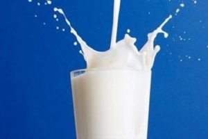 İnek s&uuml;t&uuml;nde anemi tehlikesi