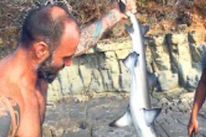 Survivor'da k&ouml;pekbalığı yakaladılar