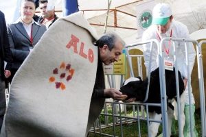 Alo K&ouml;yl&uuml;m Hattı'ndan ilgin&ccedil; istekler
