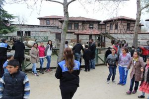 Emniyetten roman a&ccedil;ılımı