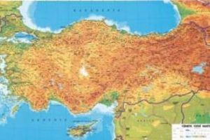 Karadeniz diken &uuml;st&uuml;nde