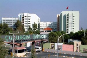 Rekt&ouml;re bir şok daha