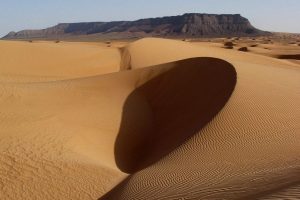 Sembolik 'Negev &Ccedil;&ouml;l Hapishanesi' kuruldu