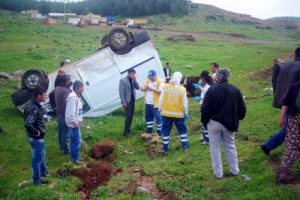 İneklere &ccedil;arpan s&uuml;r&uuml;c&uuml; &ouml;l&uuml;mden d&ouml;nd&uuml;