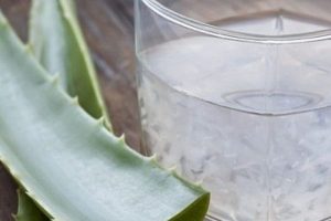 Aloe veranın faydaları