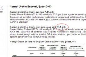 T&Uuml;İK yine hata yaptı