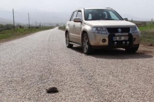 Gazeteciler hayat kurtardı