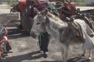 Sonunda bu da oldu!